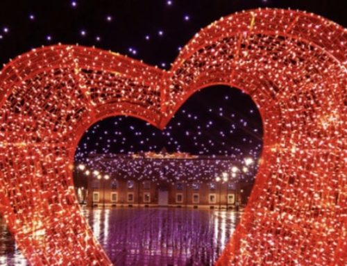 Un mare di coccole per San Valentino